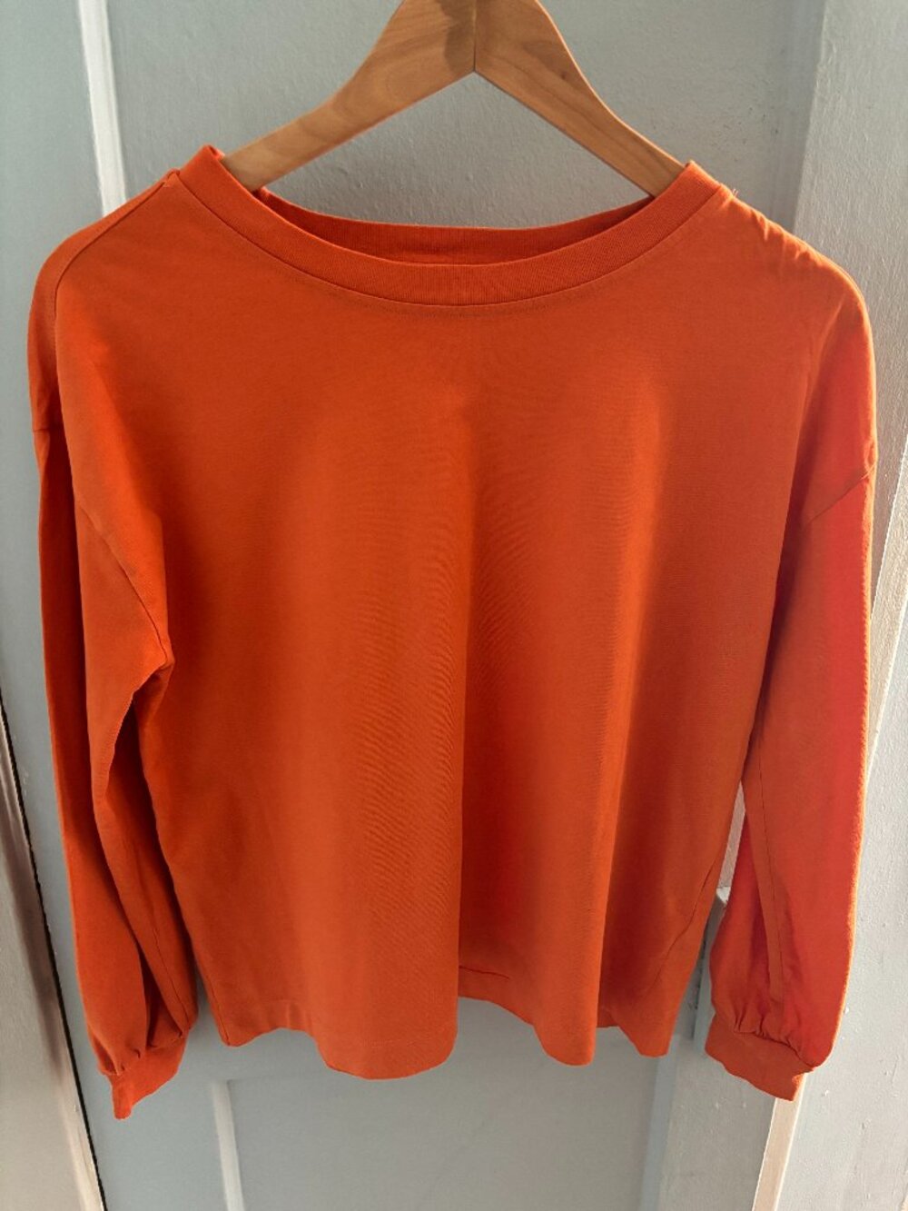 Everlane Pumpkin Orange Organic Cotton Long Sleeve Tee - Size S